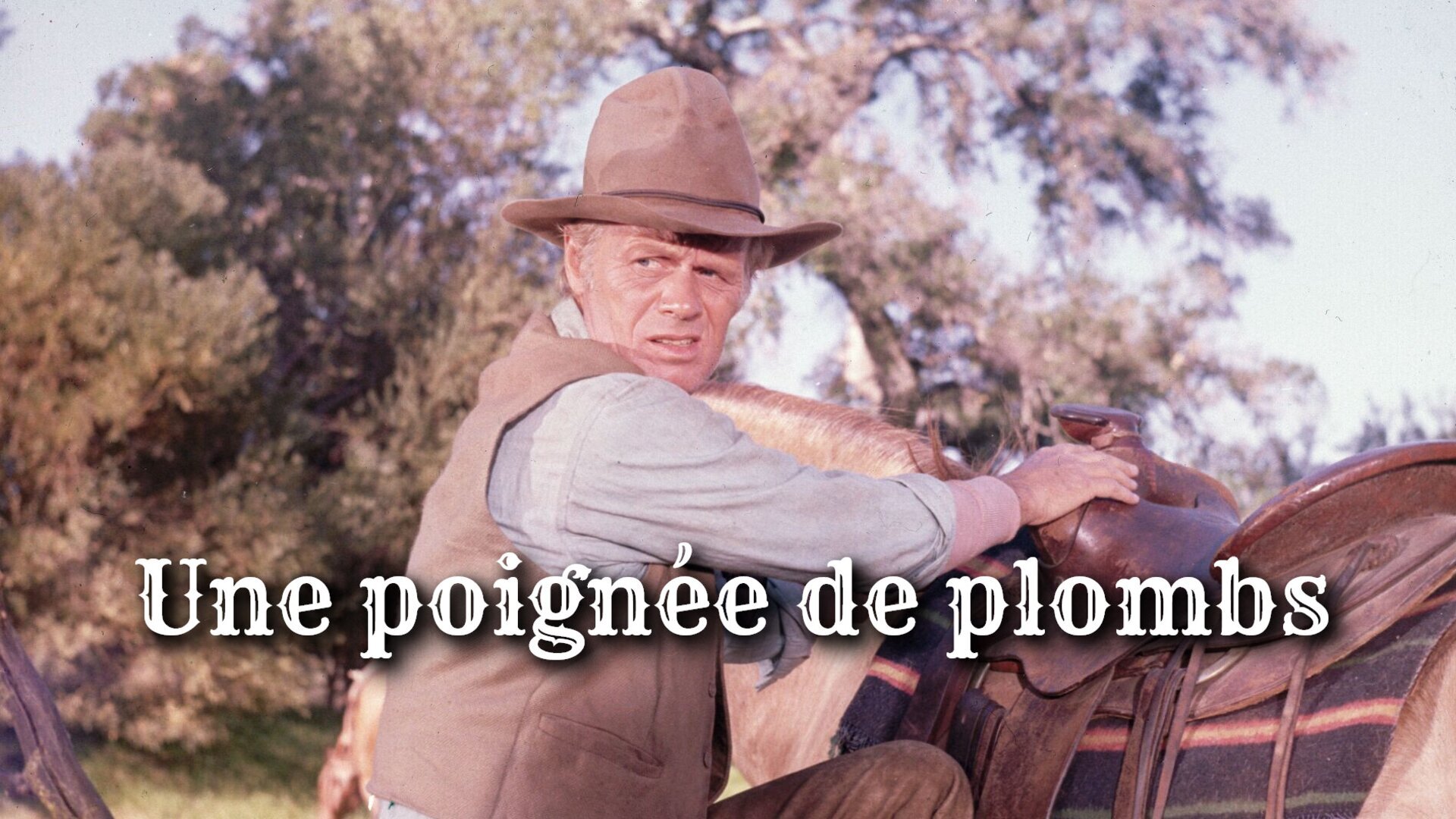 Vignette du programme télé Une poignée de plombs