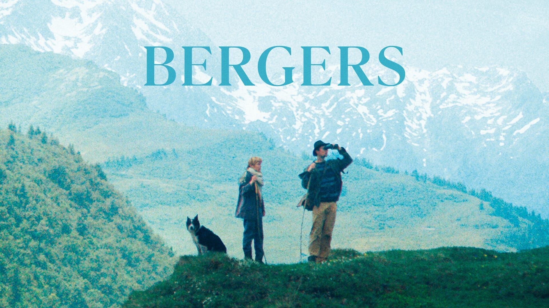 Vignette du programme télé Bergers
