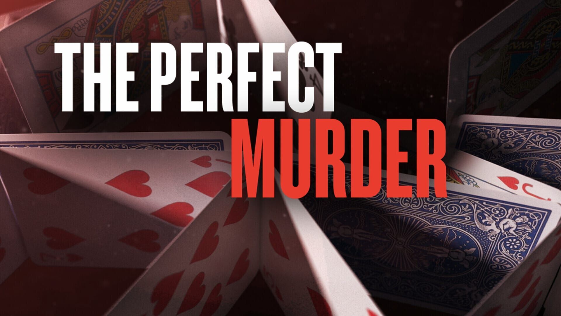 Vignette du programme télé Perfect Murder