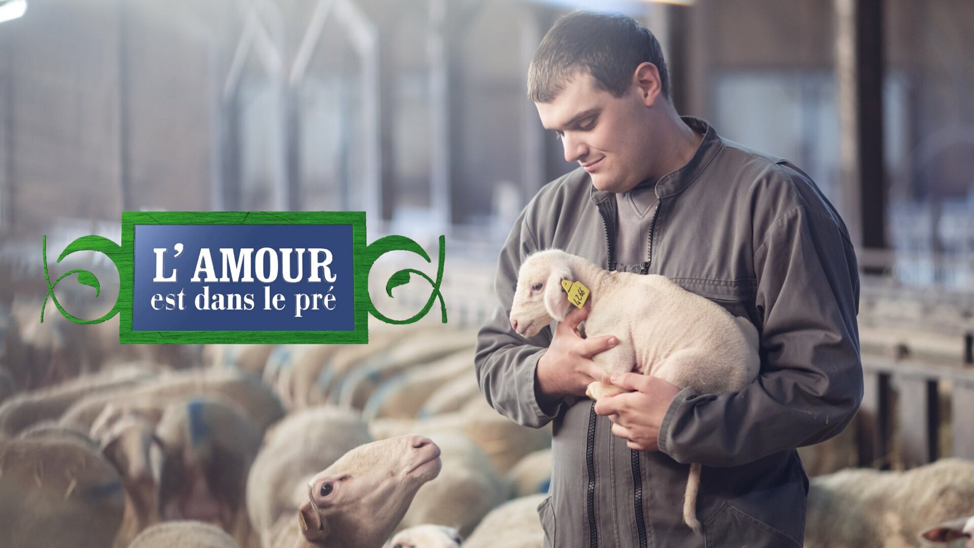 Vignette du programme télé L'amour est dans le pré
