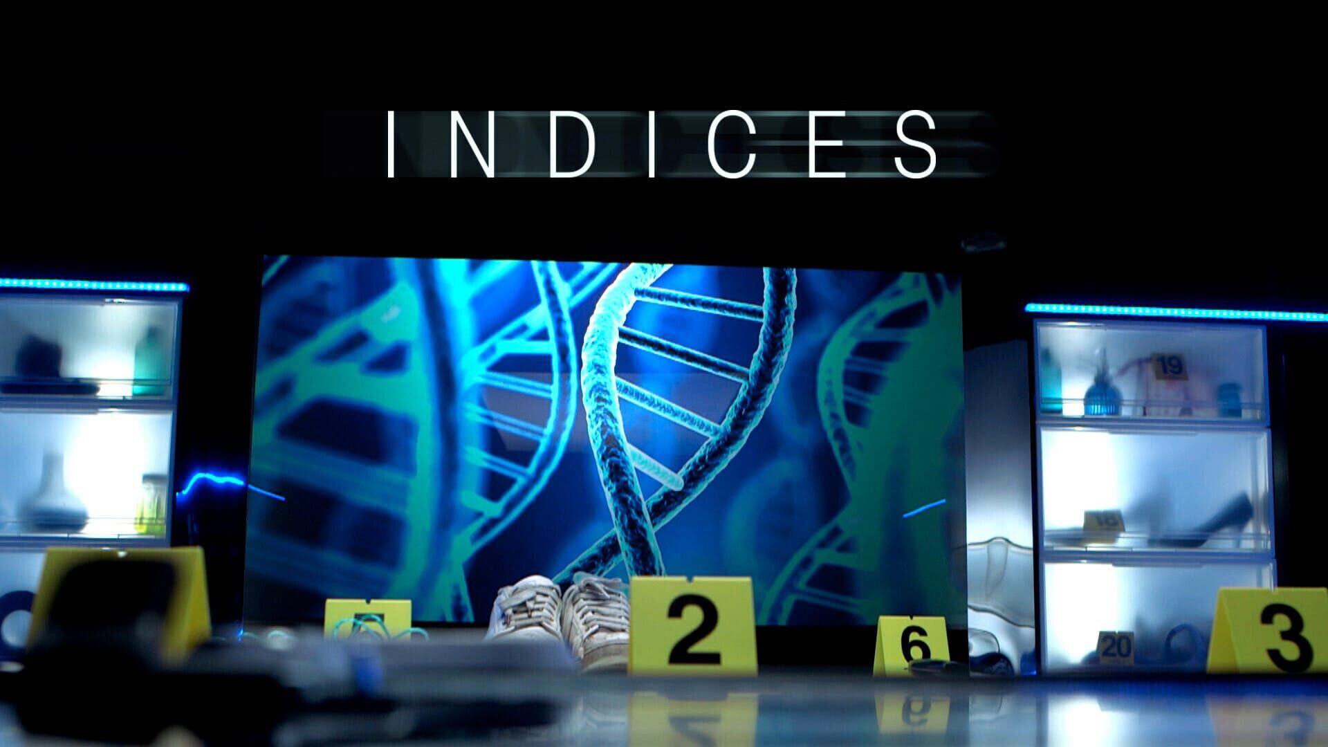Vignette du programme télé Indices