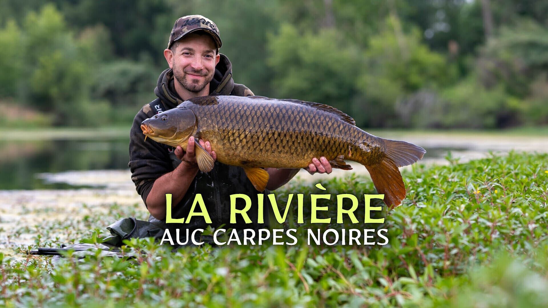 Vignette du programme télé La rivière auc carpes noires