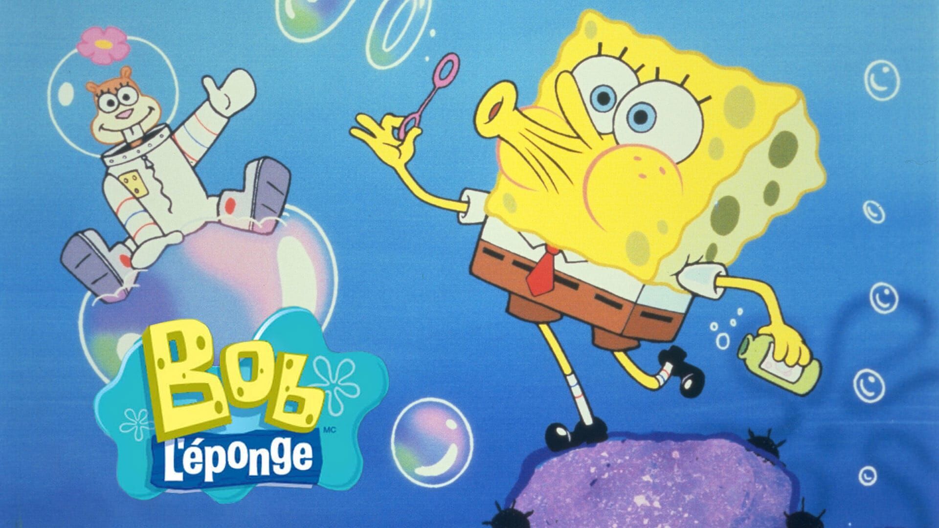 Vignette du programme télé Bob l'éponge