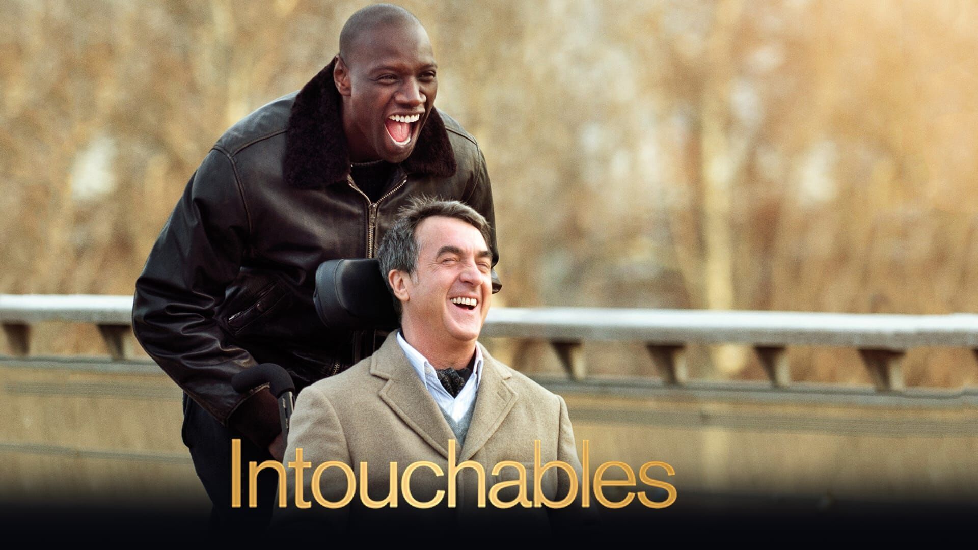 Vignette du programme télé Intouchables