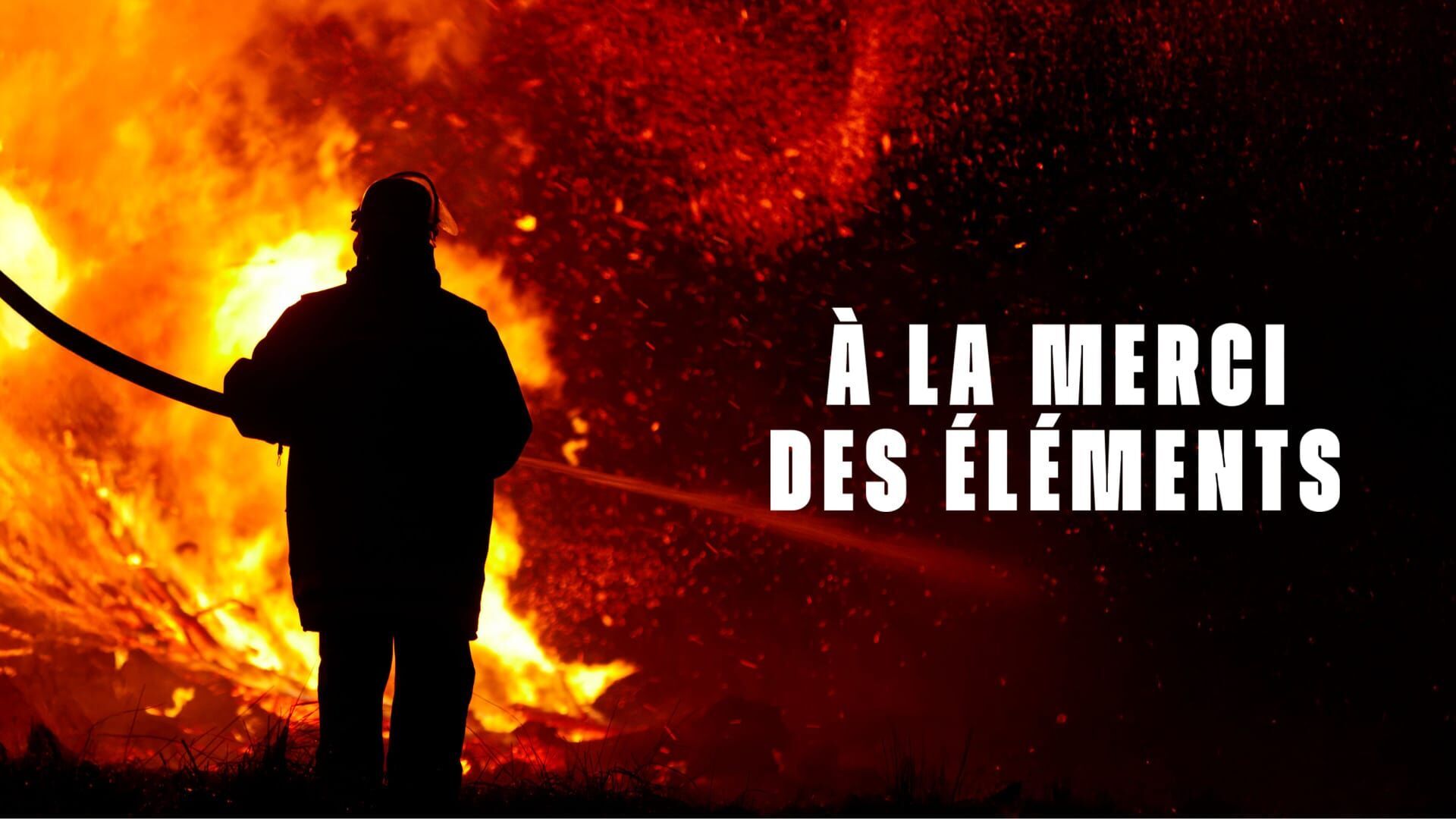Vignette du programme télé Quand la nature se déchaîne