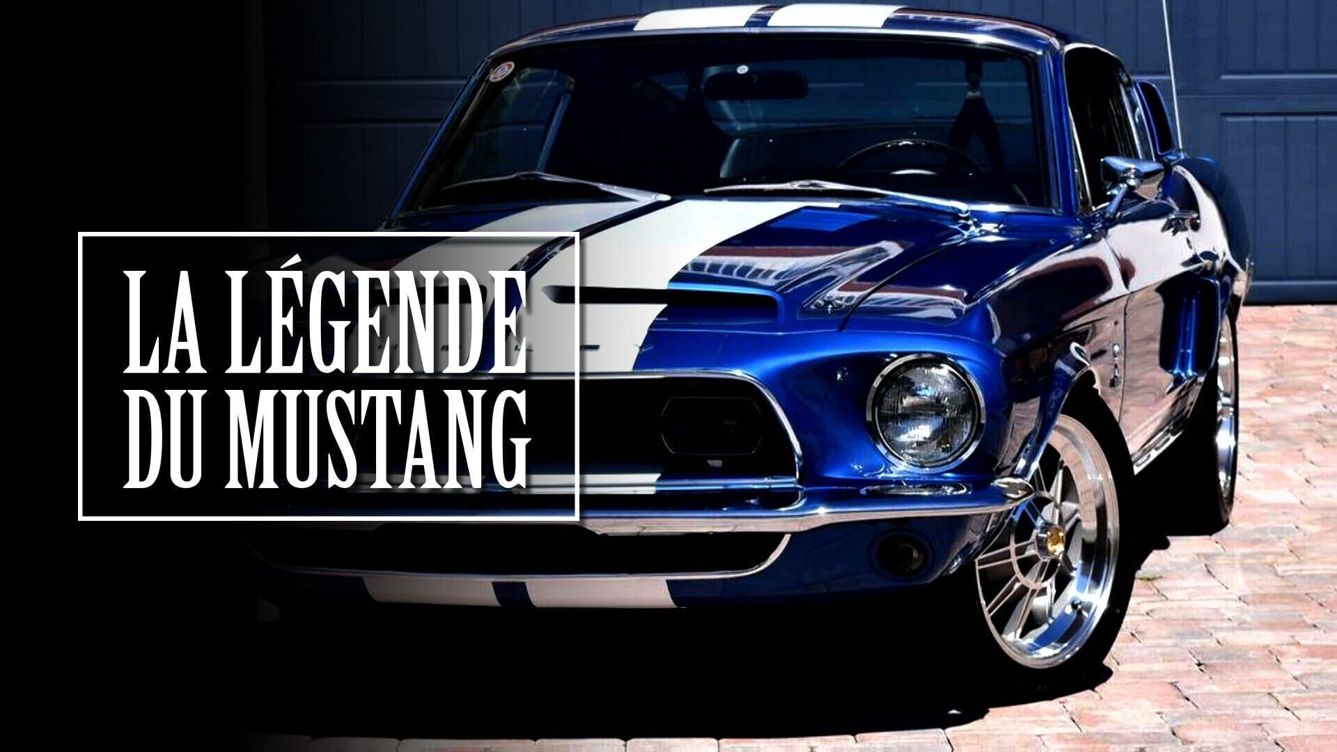 Vignette du programme télé La Légende du Mustang