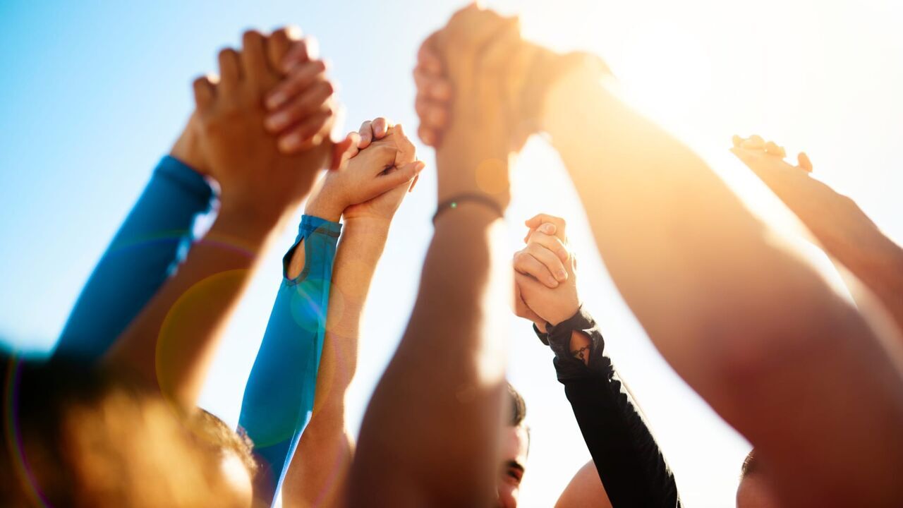 Vignette du programme télé VIP club