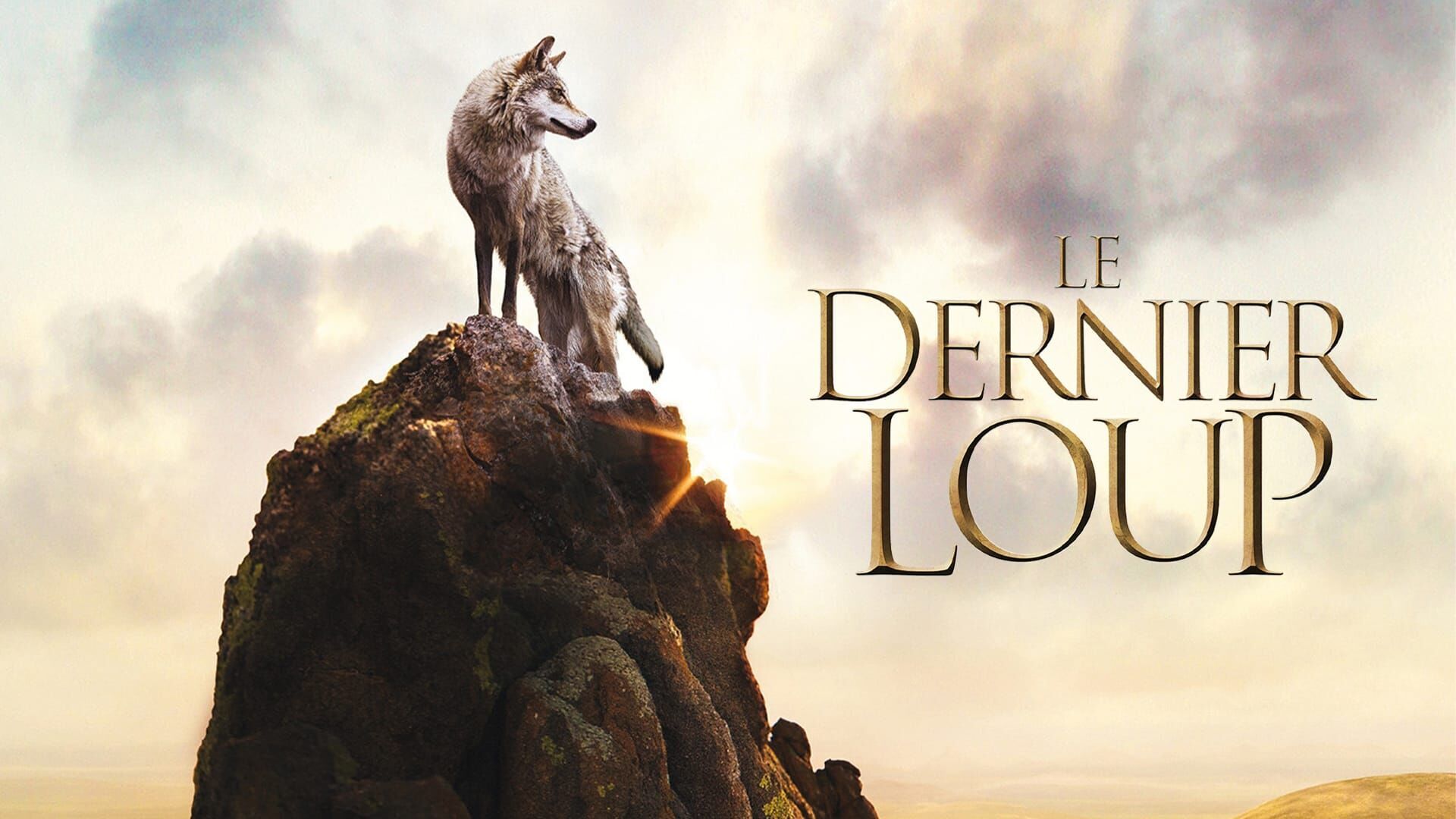 Vignette du programme télé Le dernier loup