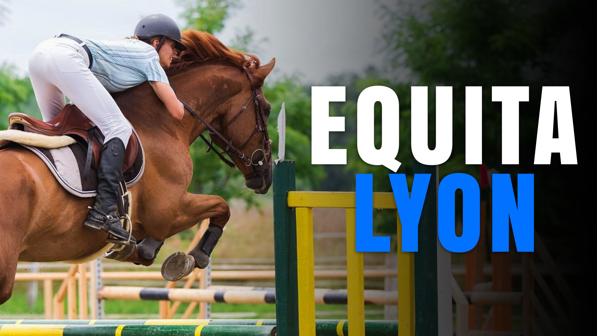 Vignette du programme télé Equita Lyon