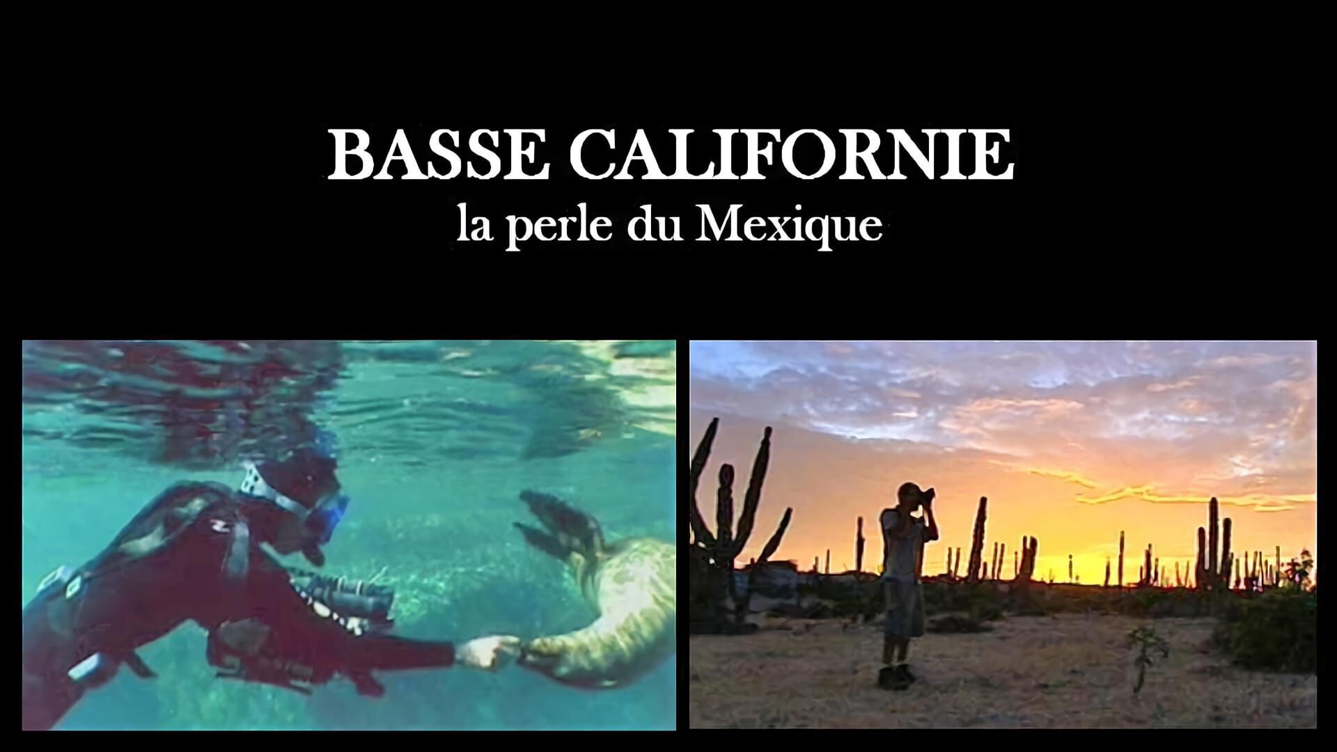 Vignette du programme télé Basse Californie : la perle du Mexique