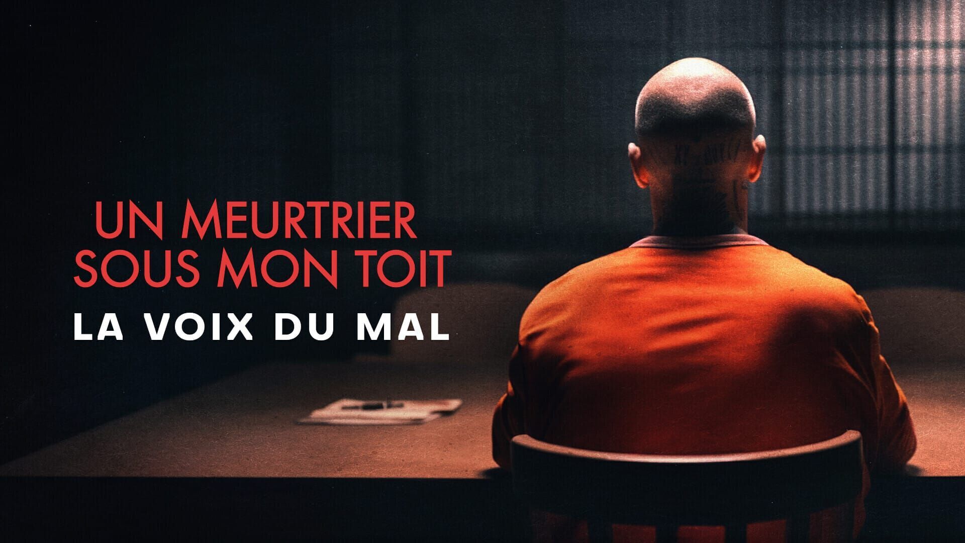 Vignette du programme télé Un meurtrier sous mon toit : la voix du mal