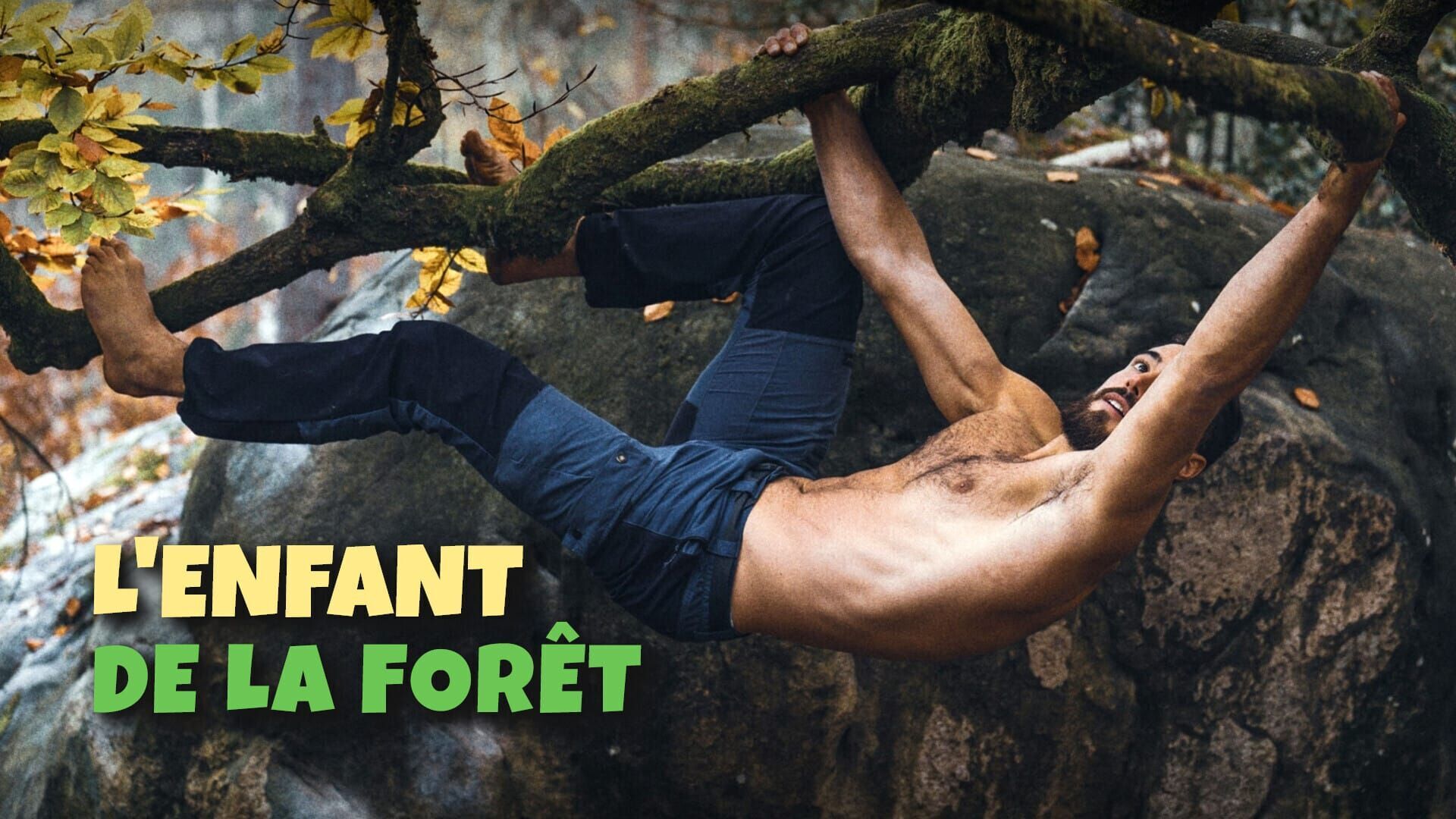 Vignette du programme télé L'enfant de la forêt