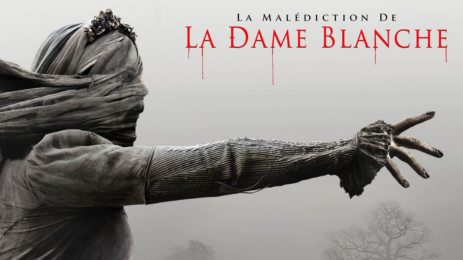 Vignette du programme télé La malédiction de la dame blanche