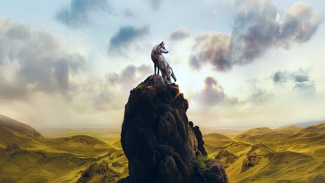 Vignette du programme télé Le dernier loup