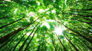 Vignette du programme télé Marins d'eau douce