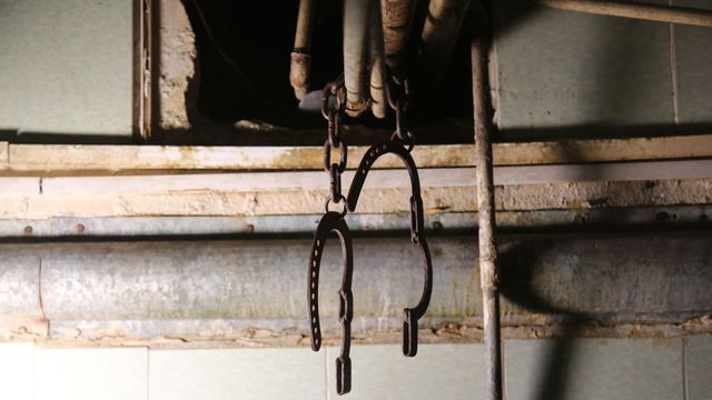 Vignette du programme télé Le viol des hommes, une arme de guerre