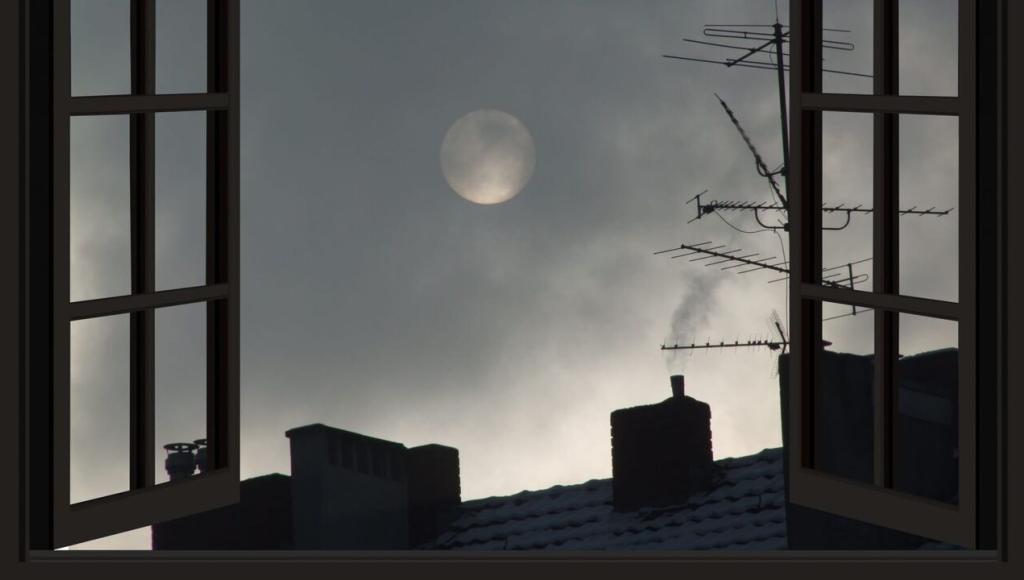 Vignette du programme télé Programmes de la nuit