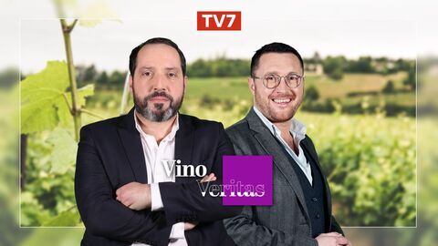 Vignette du programme télé Vino Veritas