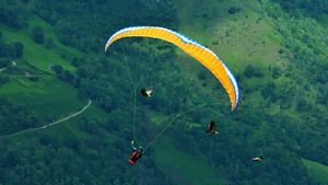 Vignette du programme télé Ushuaïa nature S1