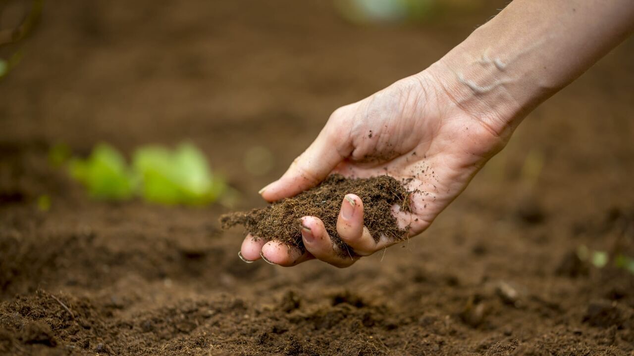 Vignette du programme télé Campagne en mouvement
