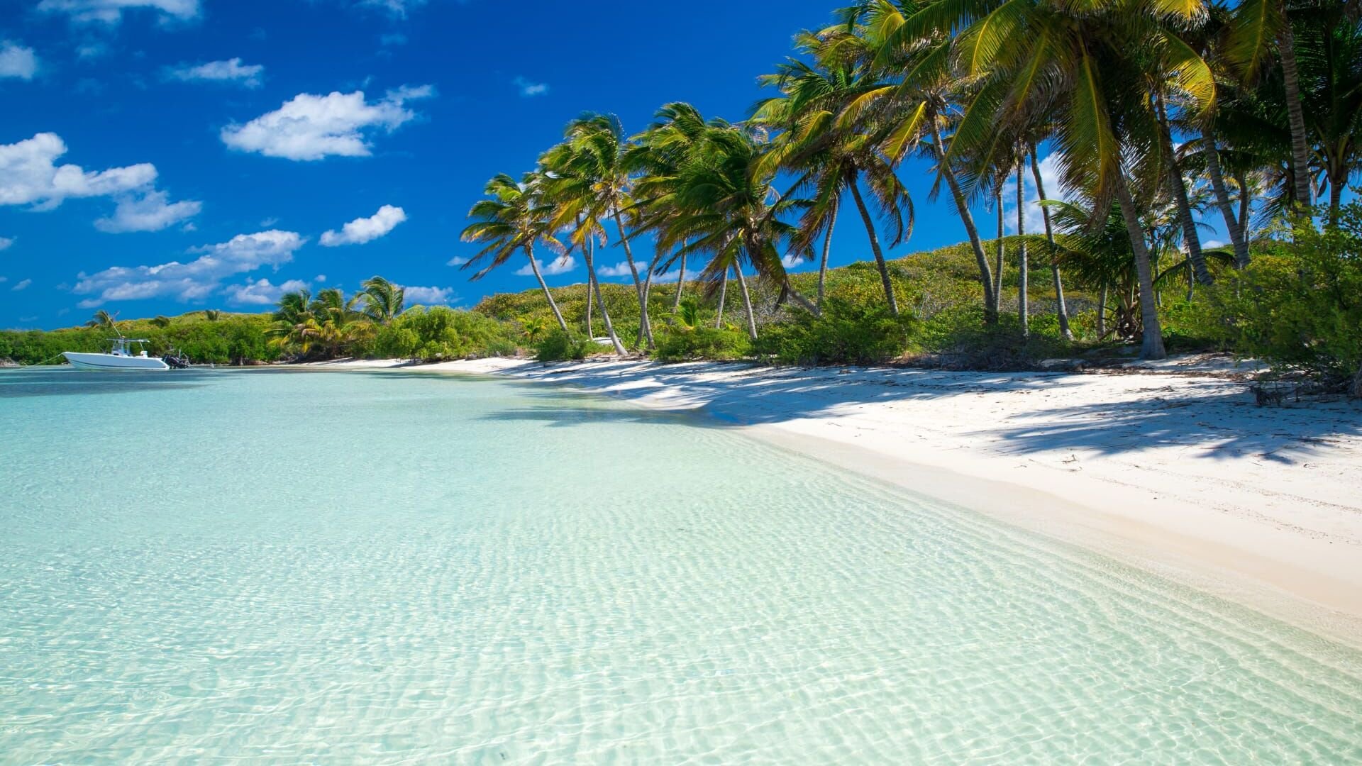 Vignette du programme télé Caribbean Vibes
