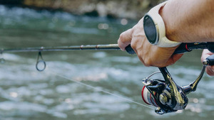 Vignette du programme télé J'irai pêcher chez vous (Truite de mer, record fario et tatin ratée chez les Normands) S1 (n°1)