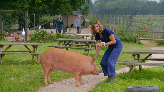 Vignette du programme télé Antiques Roadshow