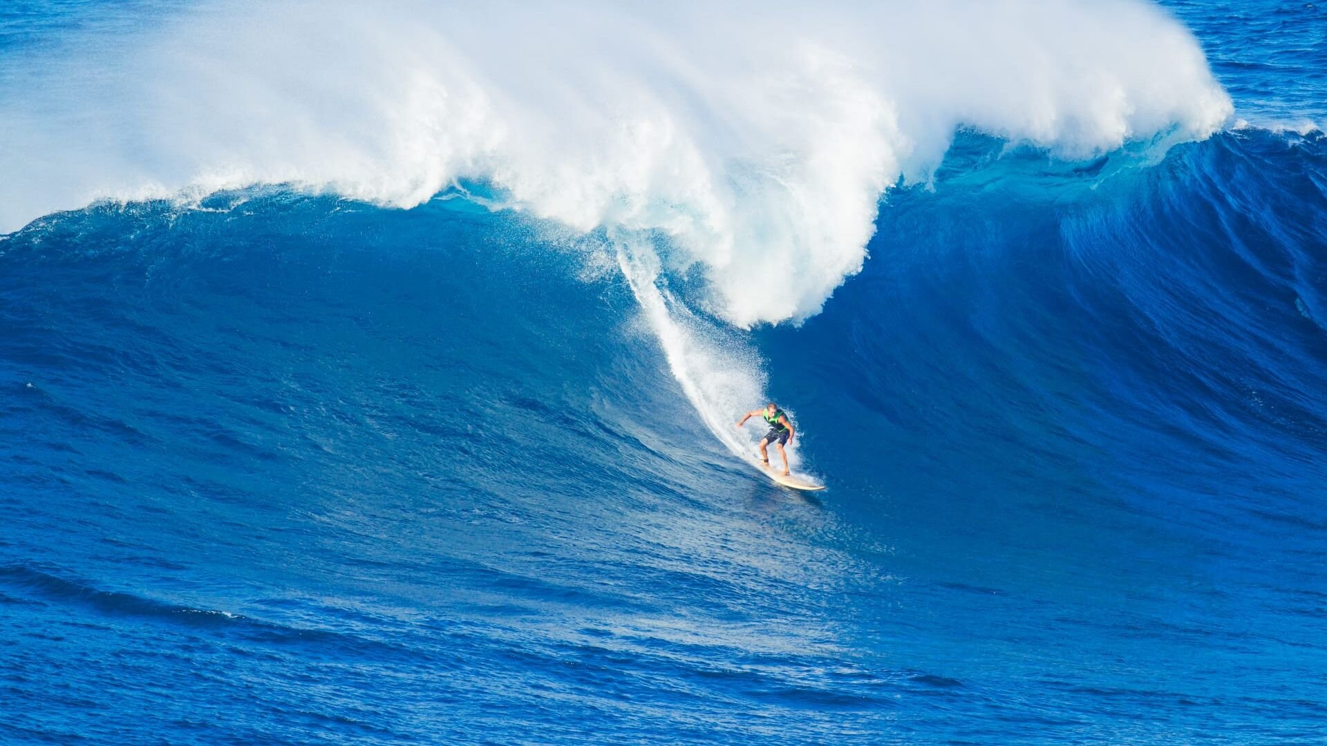 Vignette du programme télé Absolute Mexico