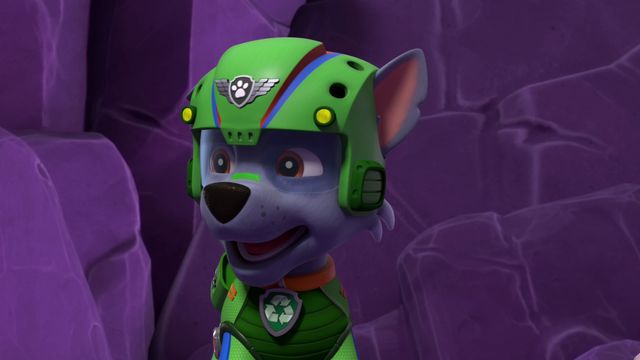 Vignette du programme télé Paw Patrol, la Pat'Patrouille - Saison 8
