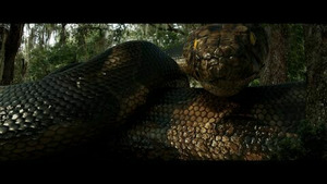 Vignette du programme télé Megaboa