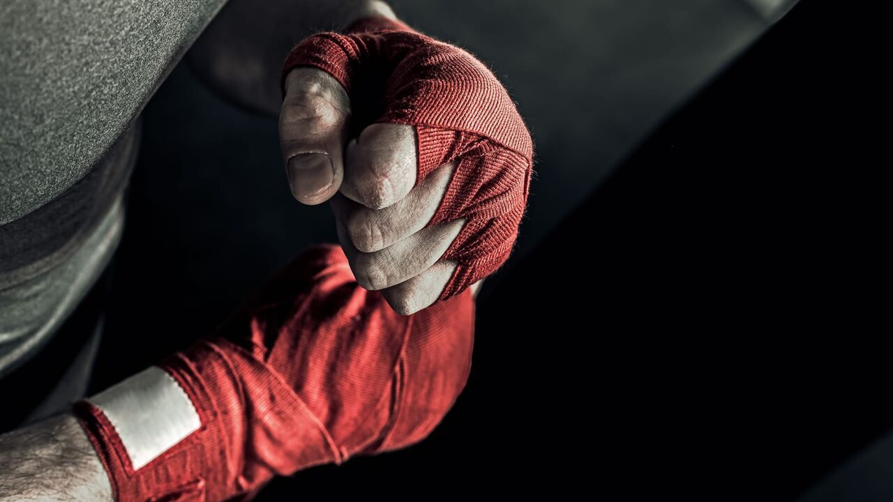 Vignette du programme télé Fight Sports MMA