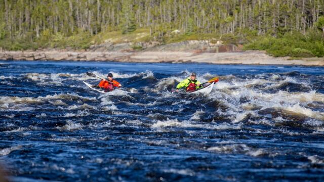 Vignette du programme télé Facing Waves