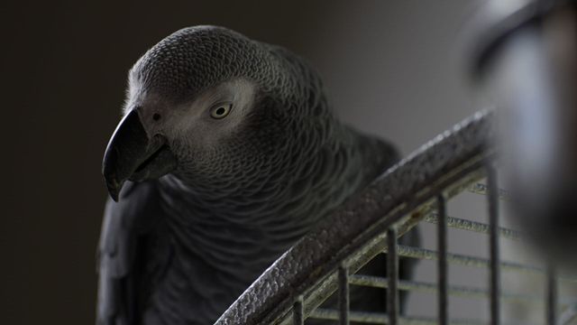 Vignette du programme télé Jusqu'à ce que la mort nous sépare - Saison 1