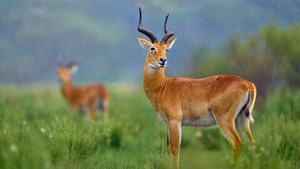 Vignette du programme télé Québec à vol d'oiseau S12 (n°13)