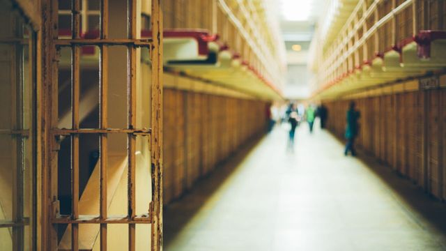 Vignette du programme télé Reno 911 : n'appelez pas ! - Saison 5