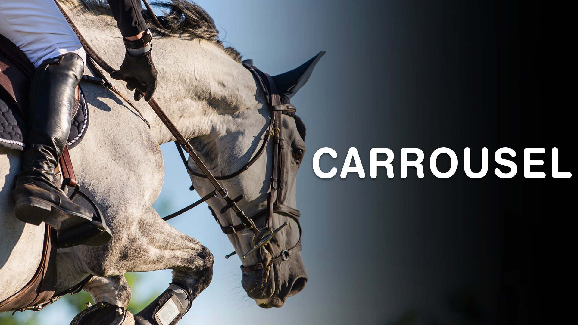 Vignette du programme télé Carrousel