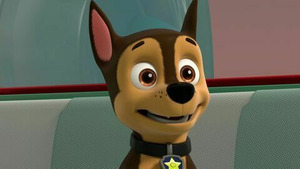 Vignette du programme télé Paw Patrol, la Pat'Patrouille (Le portrait de la princesse) S8 (11/26)