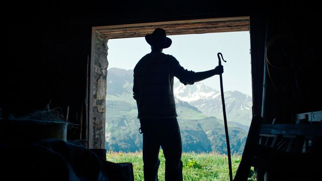 Vignette du programme télé Bergers