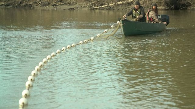 Vignette du programme télé Alaska : 100 jours pour survivre - Saison 1