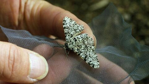 Vignette du programme télé Darwin express - Les nouveaux défis de l'évolution