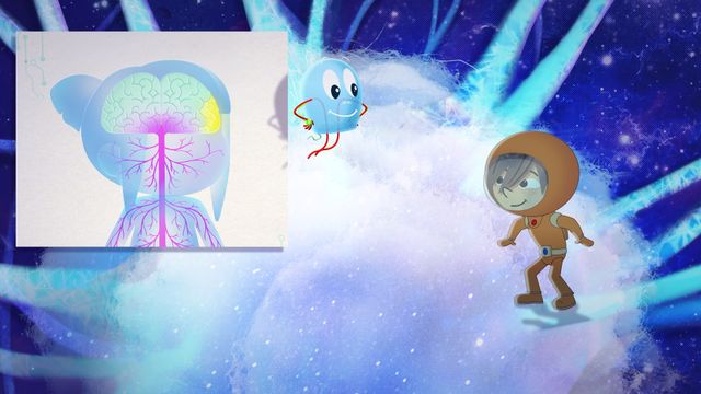 Vignette du programme télé Kididoc - Saison 1