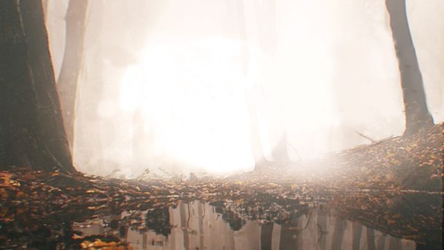 Vignette du programme télé Disparus - Saison 8