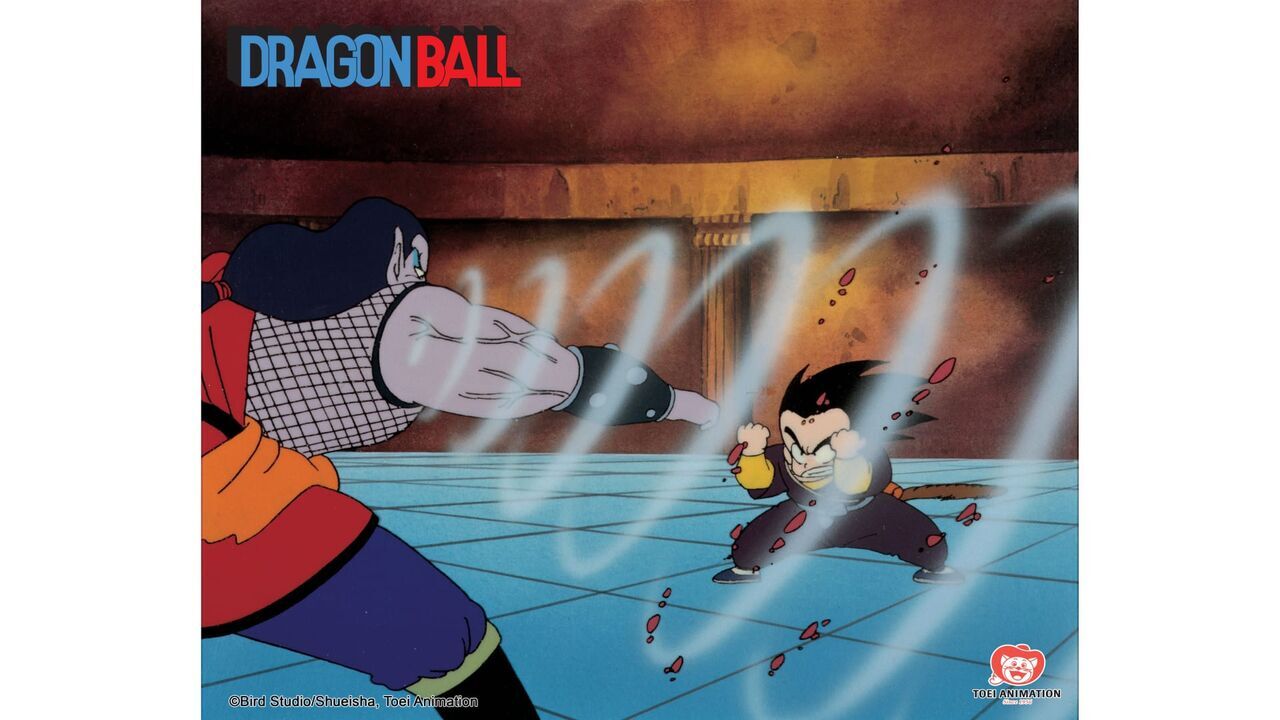 Vignette du programme télé Dragon Ball