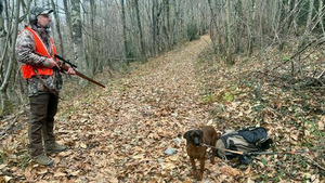 Vignette du programme télé Recherche au sang en montagne