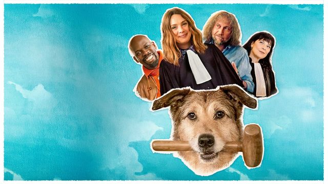 Vignette du programme télé Le Procès du chien