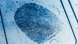 Vignette du programme télé Des crimes presque parfaits (La femme à l'ombrelle) S10 (2/6)