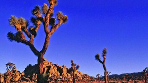 Vignette du programme télé Basse Californie : la perle du Mexique S1 (n°1)