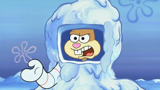 Vignette du programme télé Bob l'éponge - Saison 8