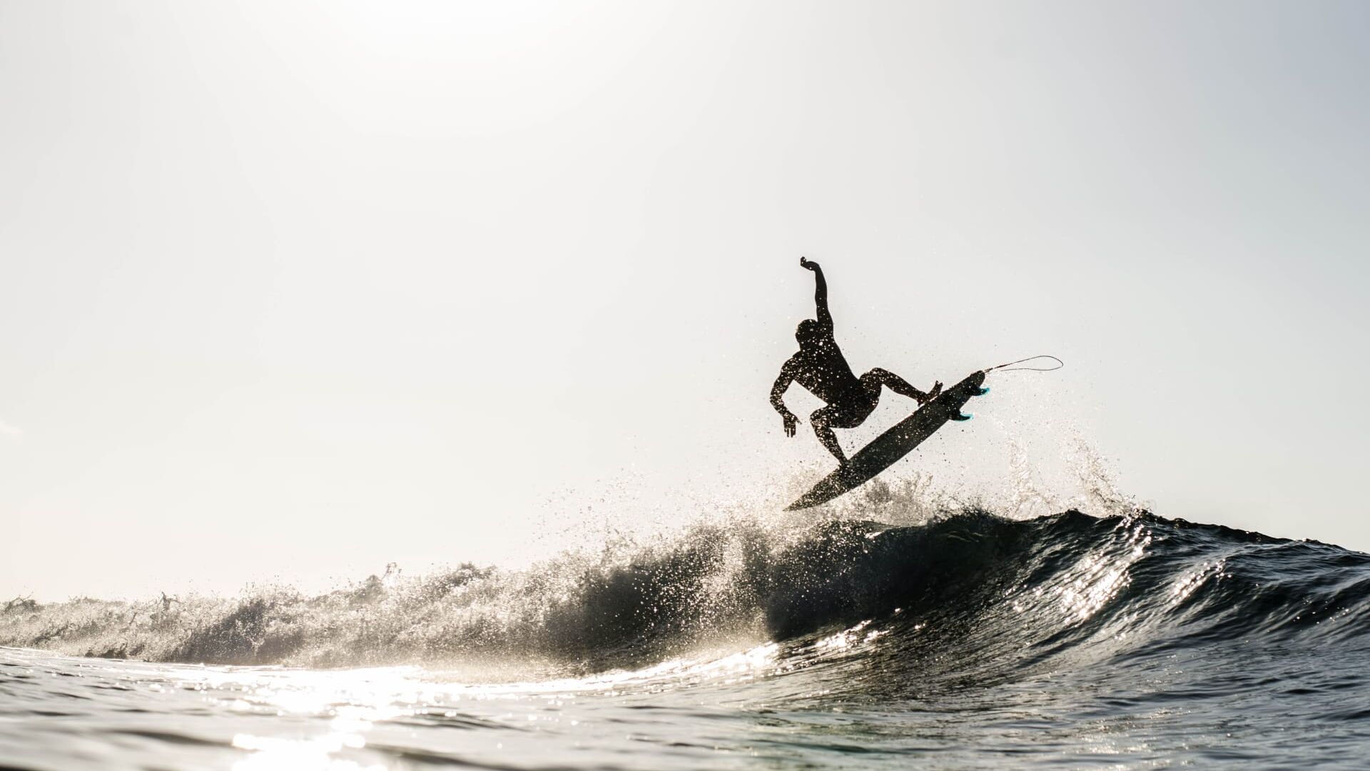Vignette du programme télé Le surf club