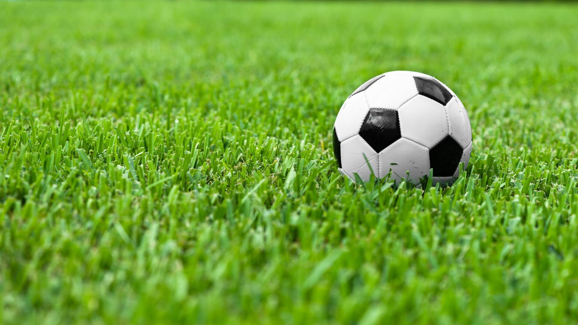 Vignette du programme télé Avant-match